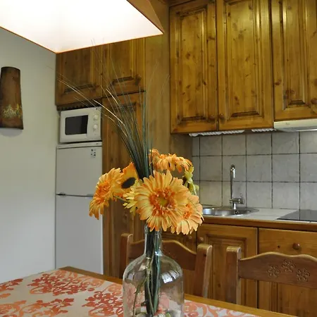 Apartmán Pirineos - Atencion Personal Biescas (Aragon)